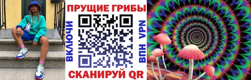 Псилоцибиновые грибы прущие грибы  Западная Двина 