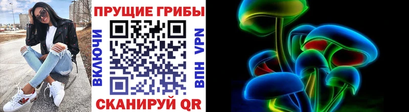 Псилоцибиновые грибы прущие грибы Западная Двина